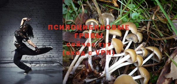 PSILOCYBIN Беломорск