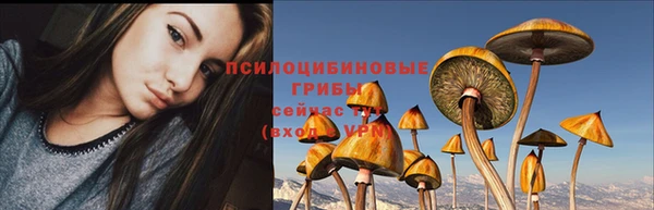 PSILOCYBIN Беломорск