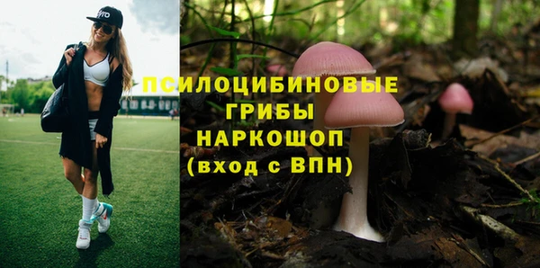 PSILOCYBIN Беломорск