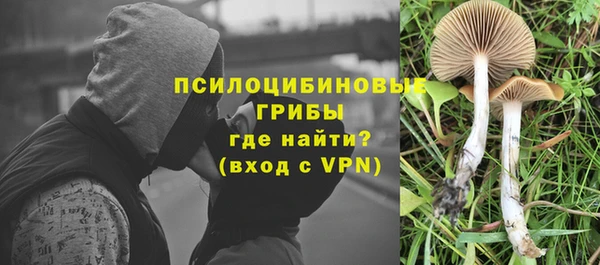 PSILOCYBIN Беломорск