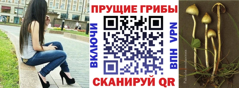 Галлюциногенные грибы MAGIC MUSHROOMS  Курганинск 