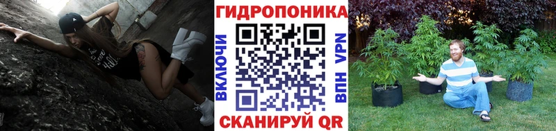 продажа наркотиков  Курганинск  МАРИХУАНА LSD WEED 